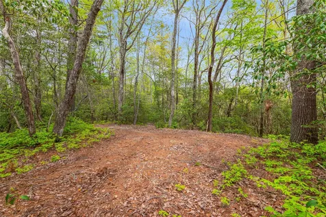 3539 W Club Boulevard Lake Toxaway NC 28747