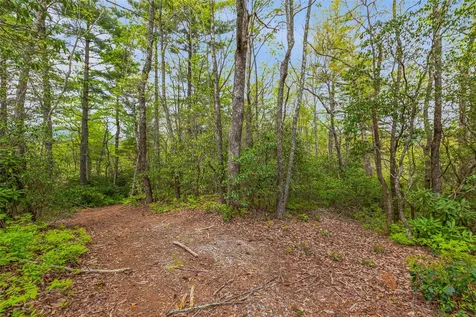 3539 W Club Boulevard Lake Toxaway NC 28747