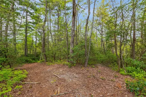 3539 West Club Boulevard Lake Toxaway NC 28747