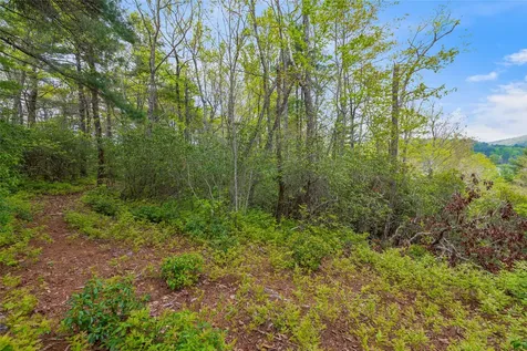 3539 W Club Boulevard Lake Toxaway NC 28747