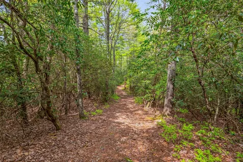 3539 W Club Boulevard Lake Toxaway NC 28747