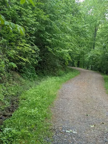 53-54 Parachute Ridge Glenville NC 28736