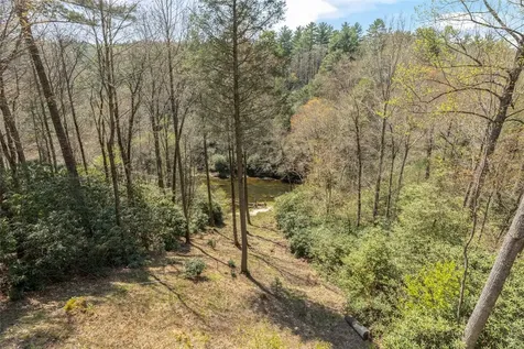 166 The Rapids Sapphire NC 28774