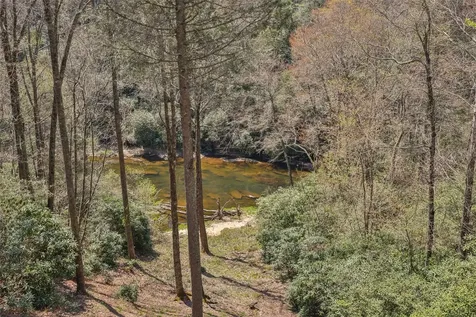 166 The Rapids Sapphire NC 28774