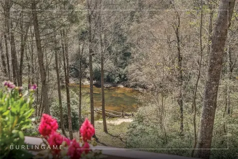 166 The Rapids Sapphire NC 28774