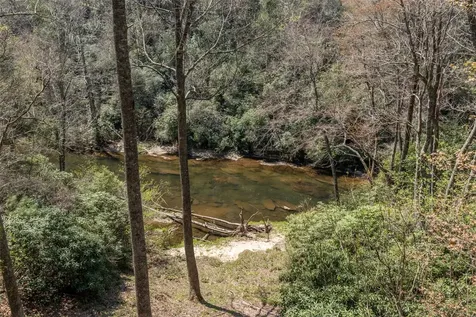 166 The Rapids Sapphire NC 28774