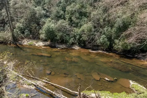 166 The Rapids Sapphire NC 28774