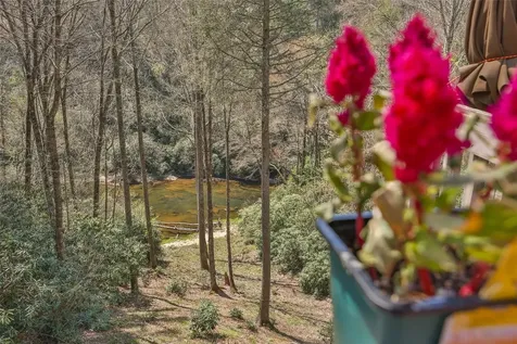 166 The Rapids Sapphire NC 28774