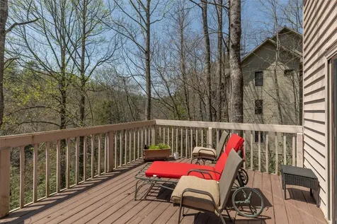 166 The Rapids Sapphire NC 28774