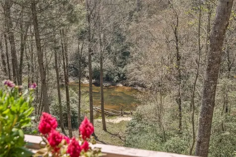 166 The Rapids Sapphire NC 28774