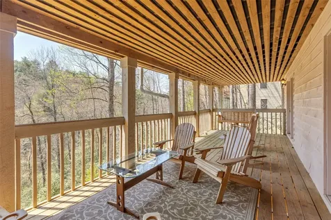 166 The Rapids Sapphire NC 28774