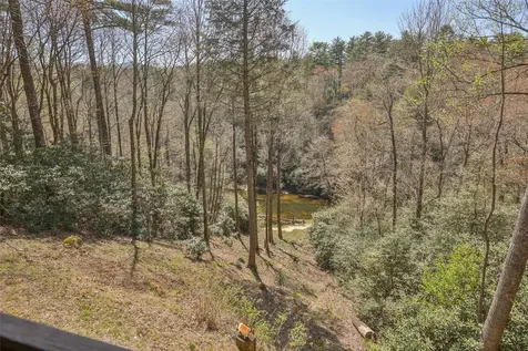 166 The Rapids Sapphire NC 28774