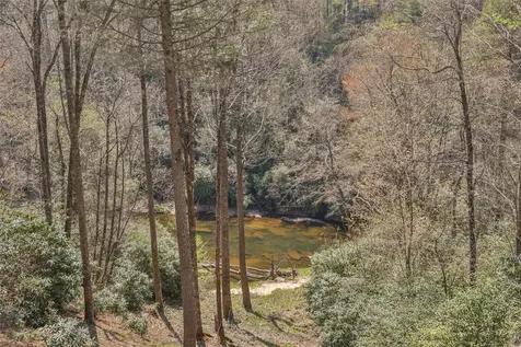 166 The Rapids Sapphire NC 28774