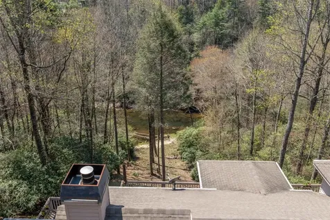 166 The Rapids Sapphire NC 28774