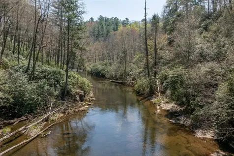 166 The Rapids Sapphire NC 28774