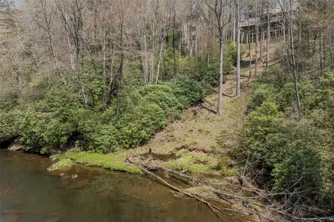 166 The Rapids Sapphire NC 28774