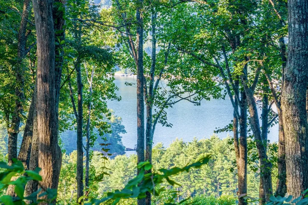 8 S Ridgeline Road Cullowhee NC 28723
