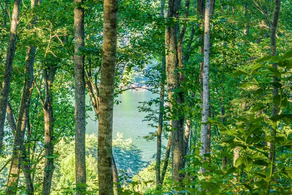 8 S Ridgeline Road Cullowhee NC 28723