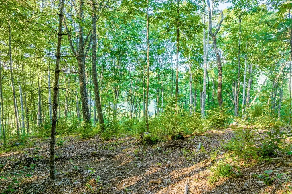 8 S Ridgeline Road Cullowhee NC 28723