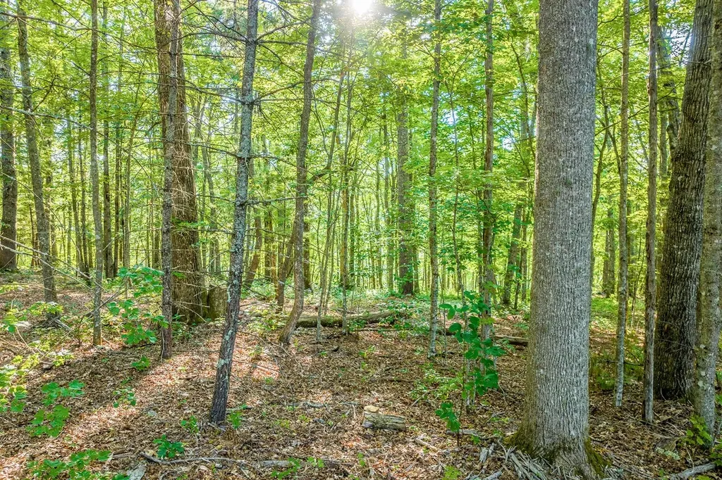 8 S Ridgeline Road Cullowhee NC 28723