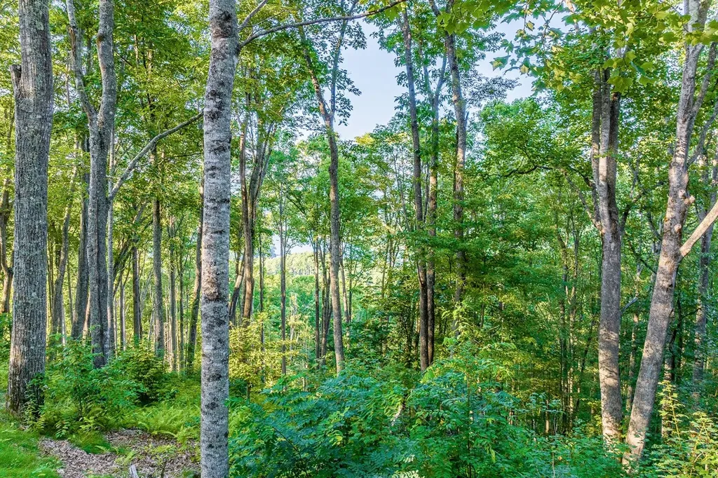 8 S Ridgeline Road Cullowhee NC 28723