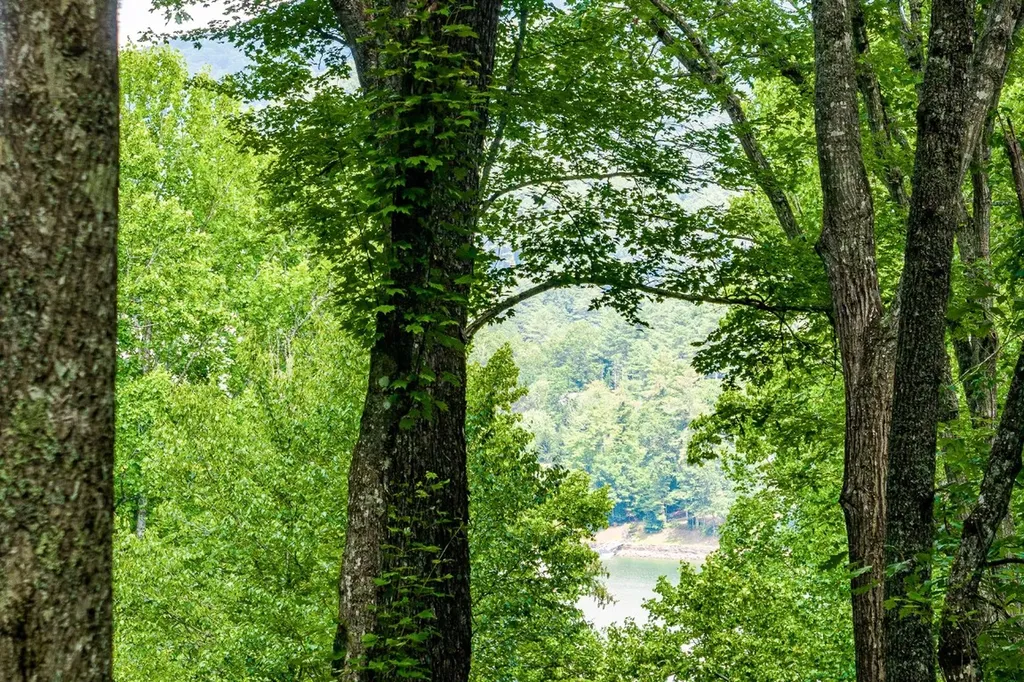 6 Tocami Club Drive Cullowhee NC 28723