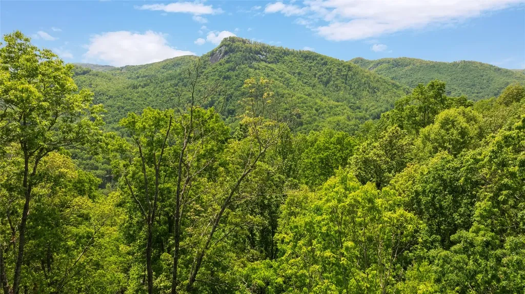 Lot 59 Waterdance Drive Tuckasegee NC 28783