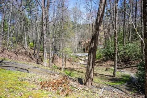 99 Dogwood Knob Lane Sapphire NC 28774