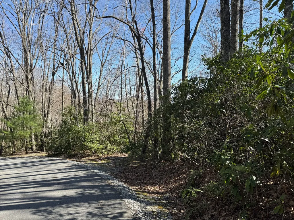 Lot 21 Bright Mountain Cullowhee NC 28723