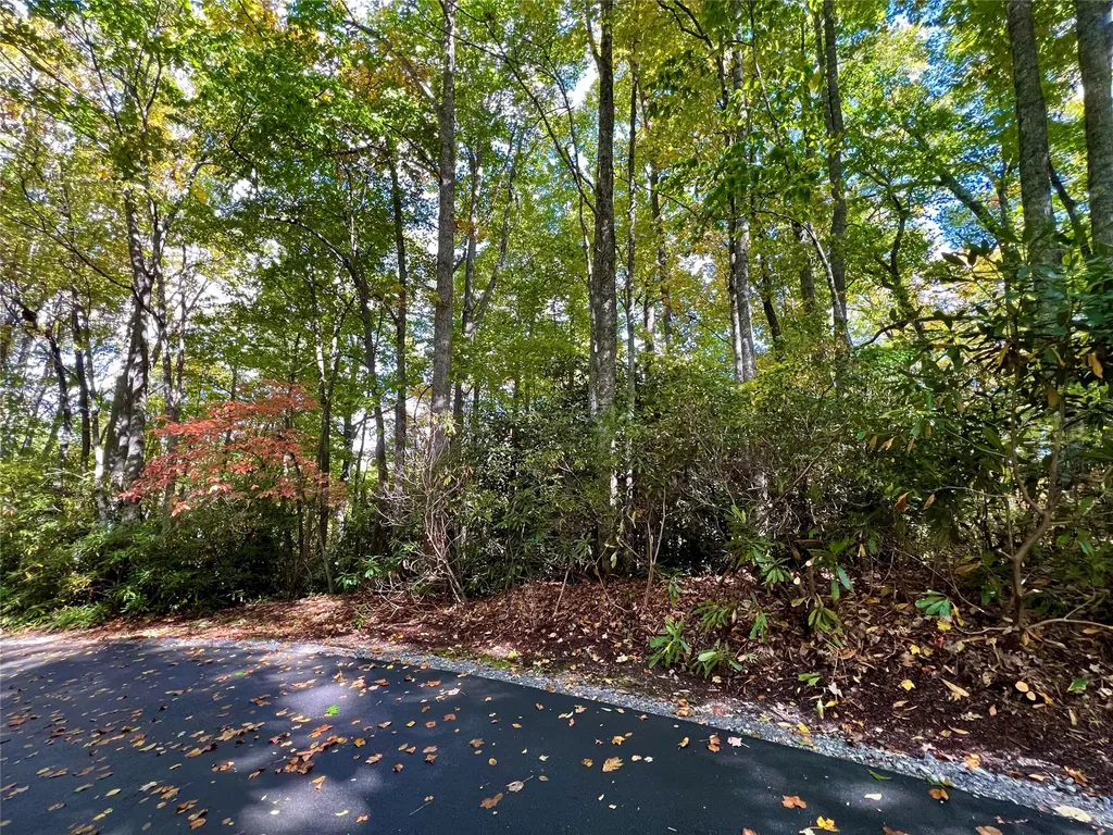 Lot 21 Bright Mountain Cullowhee NC 28723