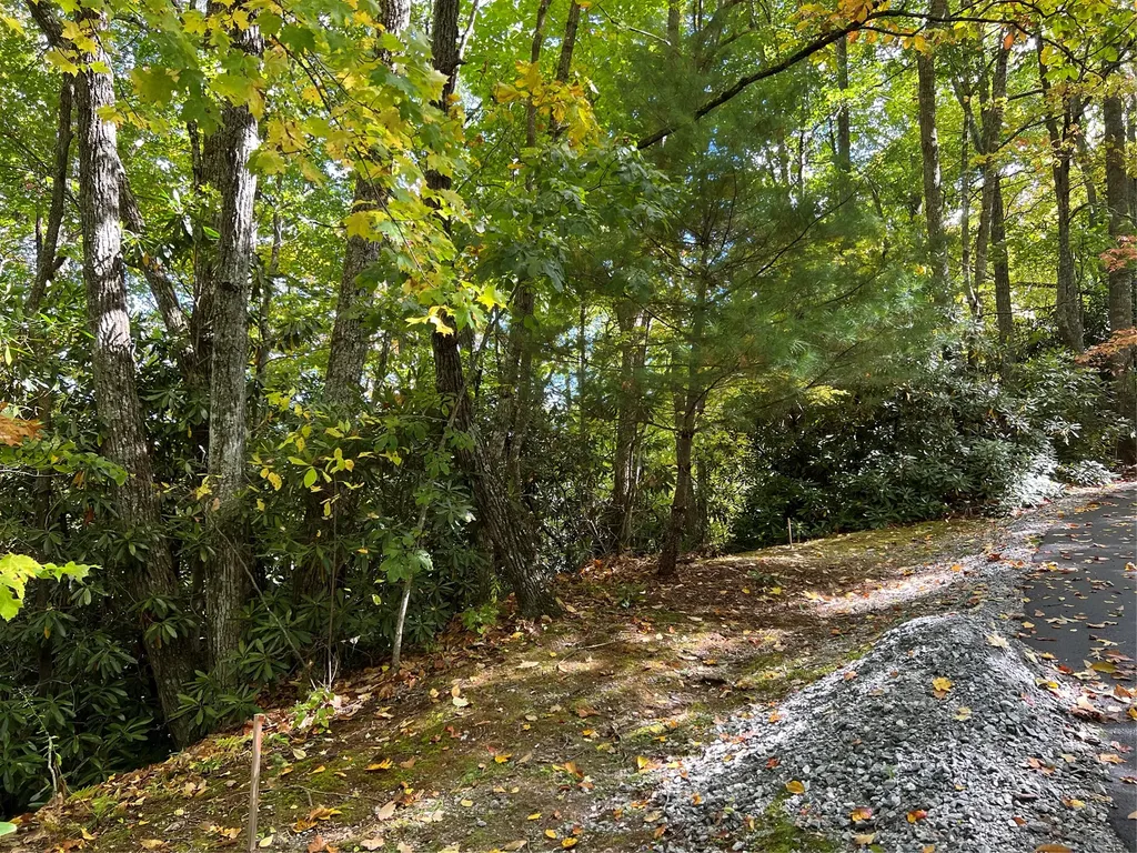 Lot 21 Bright Mountain Cullowhee NC 28723
