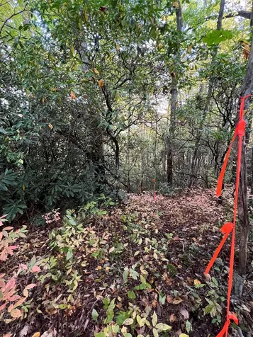 Lot 21 Bright Mountain Cullowhee NC 28723
