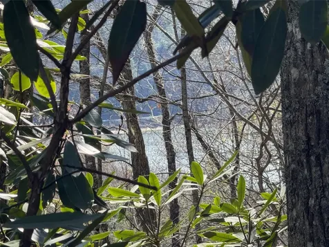 Lot 21 Bright Mountain Road Cullowhee NC 28723