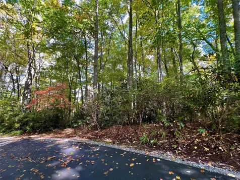 Lot 21 Bright Mountain Road Cullowhee NC 28723