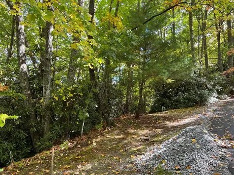 Lot 21 Bright Mountain Cullowhee NC 28723
