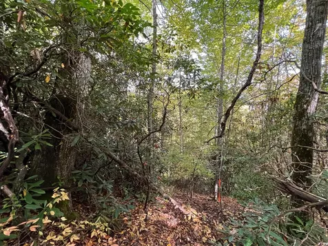Lot 21 Bright Mountain Cullowhee NC 28723