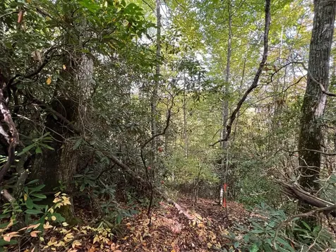 Lot 21 Bright Mountain Road Cullowhee NC 28723