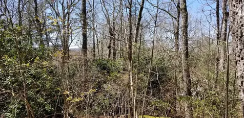 Lot 95 Shelby S Highlands NC 28741