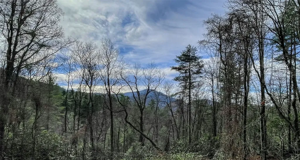 Lot 6 Hayes Trail Drive Cashiers NC 28717