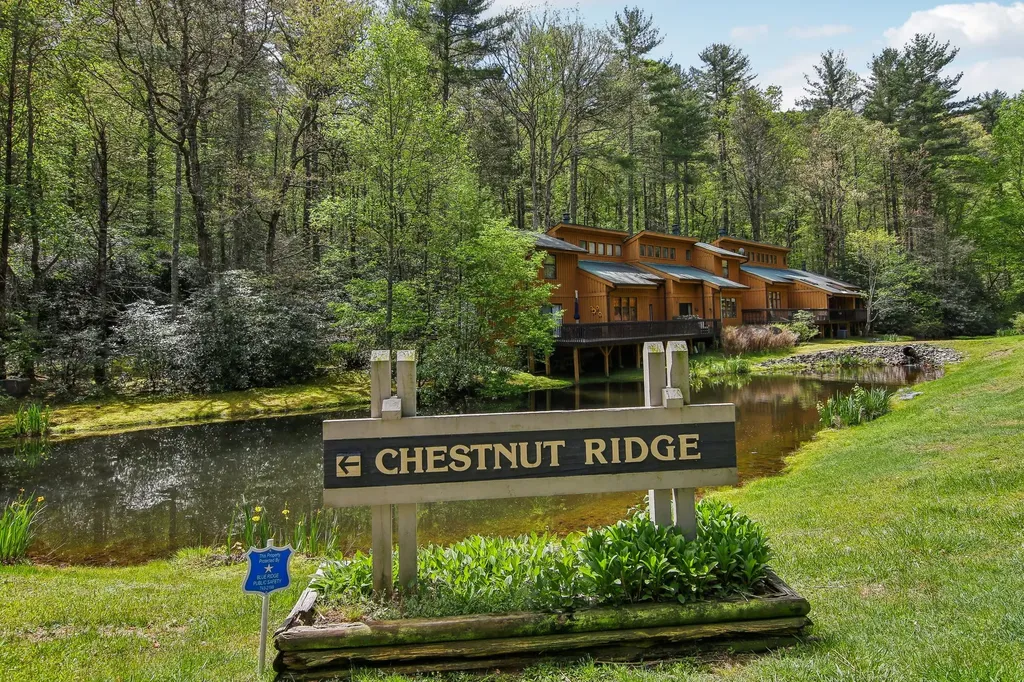 24 Chestnut Ridge Road Sapphire NC 28774