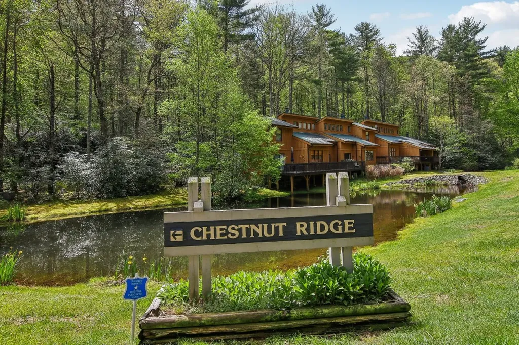 24 Chestnut Ridge Road Sapphire NC 28774