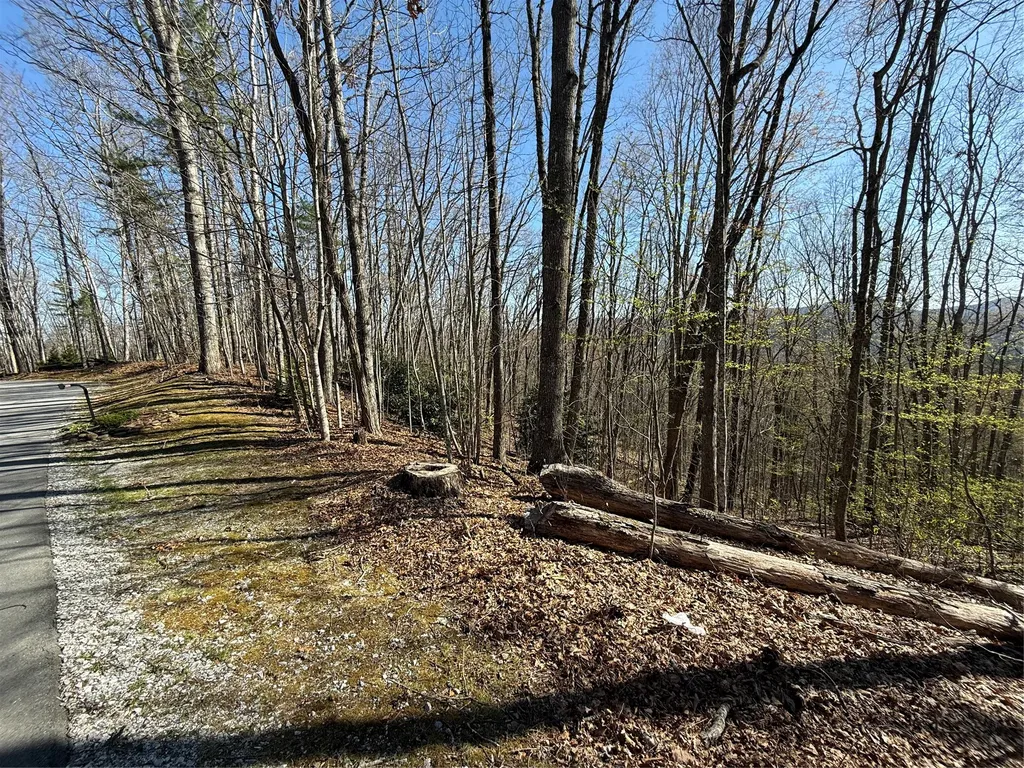 Lot 22 Bright Mountain Cullowhee NC 28723