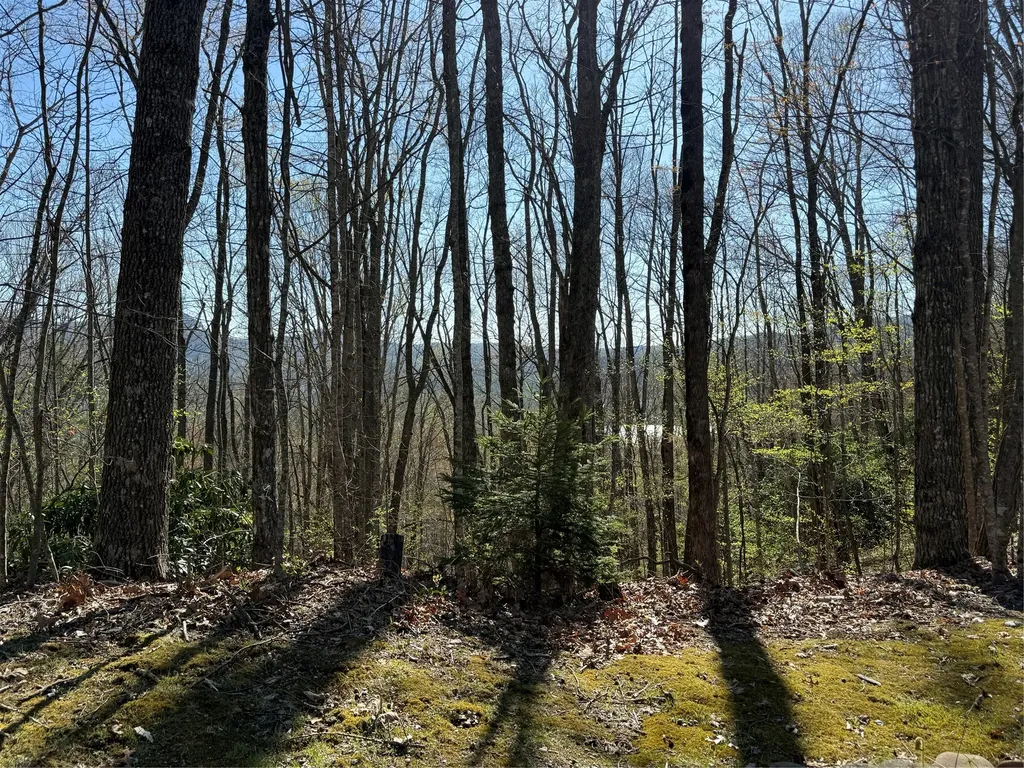 Lot 22 Bright Mountain Cullowhee NC 28723