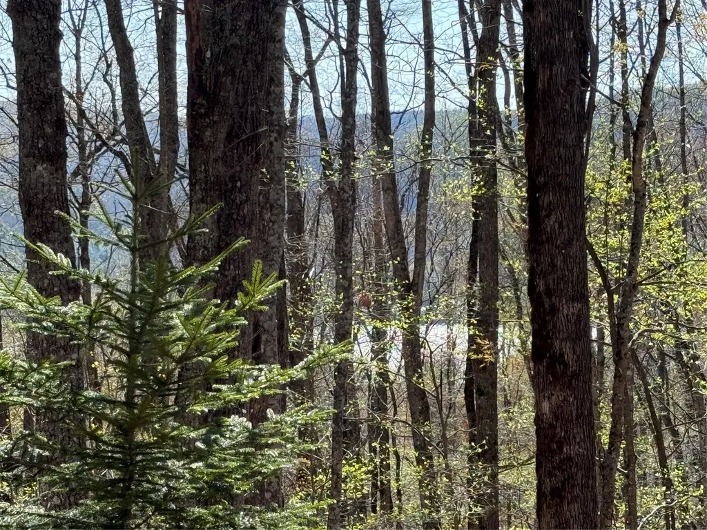 Lot 22 Bright Mountain Cullowhee NC 28723