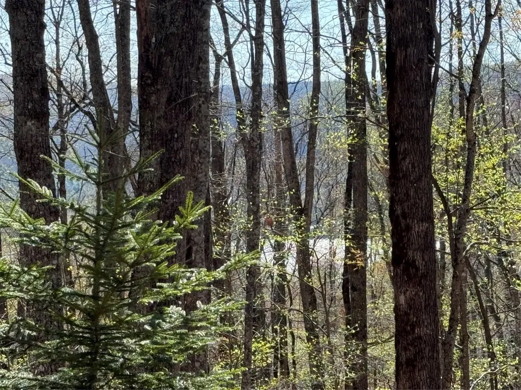 Lot 22 Bright Mountain Road Cullowhee NC 28723