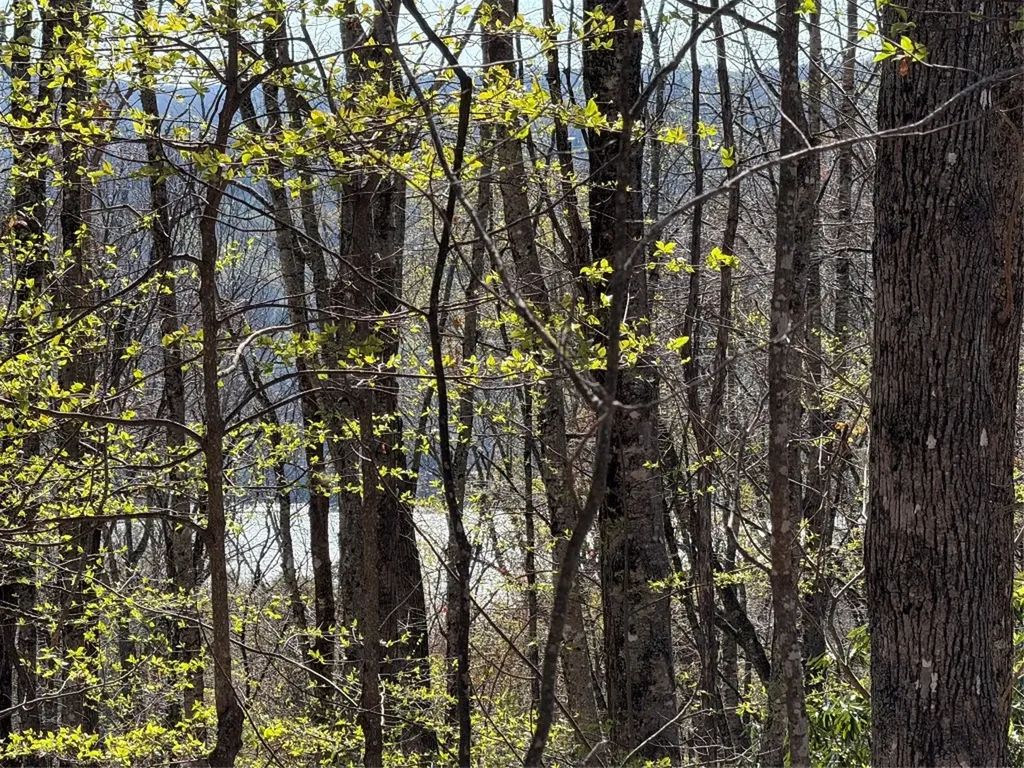 Lot 22 Bright Mountain Road Cullowhee NC 28723