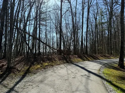 Lot 22 Bright Mountain Cullowhee NC 28723