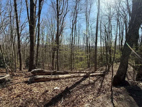 Lot 22 Bright Mountain Cullowhee NC 28723