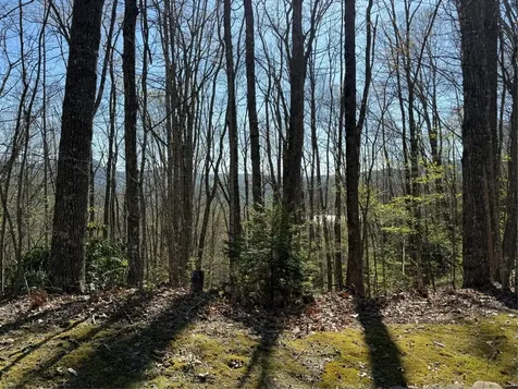 Lot 22 Bright Mountain Road Cullowhee NC 28723