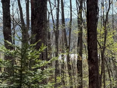 Lot 22 Bright Mountain Cullowhee NC 28723